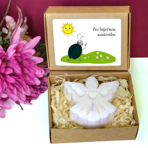 BROUČEK I. - andílek pro učitelku ve školce