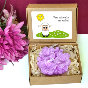 BERÁNEK - fialky pro učitelku ve školce