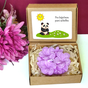 PANDA - fialky pro učitelku ve školce