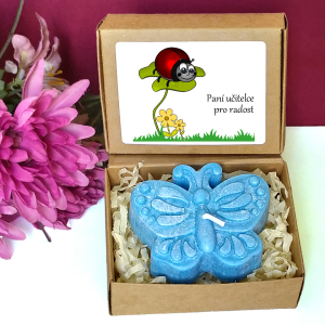 BROUČEK II. - motýl pro učitelku ve školce