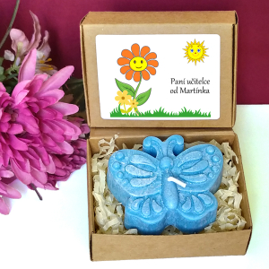 KYTIČKA ORANŽOVÁ - motýl pro učitelku ve školce