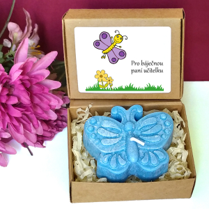 MOTÝLEK FIALOVÝ - motýl pro učitelku ve školce
