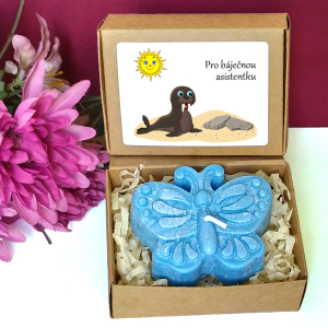 MROŽ - motýl pro učitelku ve školce