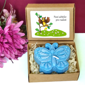 SOVA II - motýl pro učitelku ve školce