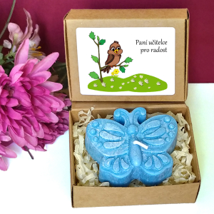 VRABEC - motýl pro učitelku ve školce