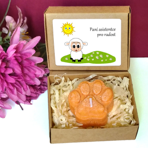 BERÁNEK - tlapka pro učitelku ve školce