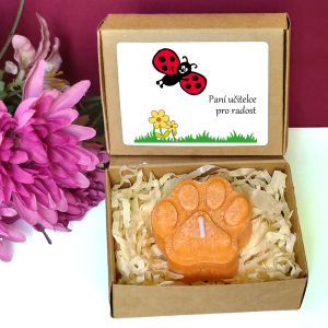 BERUŠKA I. - tlapka pro učitelku ve školce