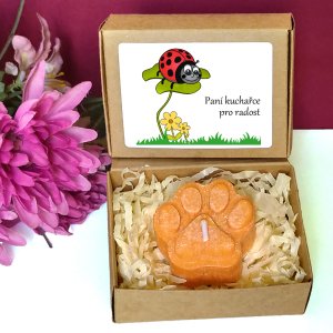 BERUŠKA II. - tlapka pro učitelku ve školce