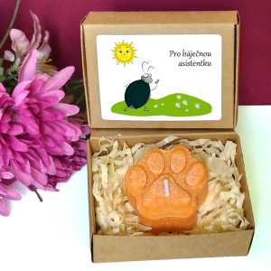 BROUČEK I. - tlapka pro učitelku ve školce