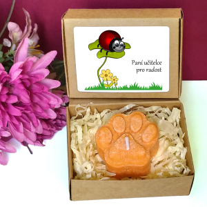 BROUČEK II. - tlapka pro učitelku ve školce