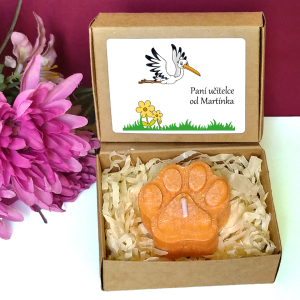 ČÁP - tlapka pro učitelku ve školce