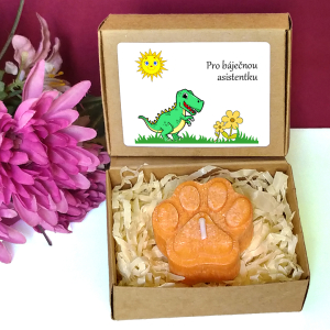 DINOSAURUS II - tlapka pro učitelku ve školce