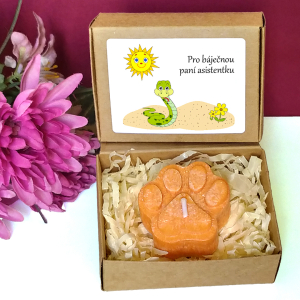 HAD - tlapka pro učitelku ve školce