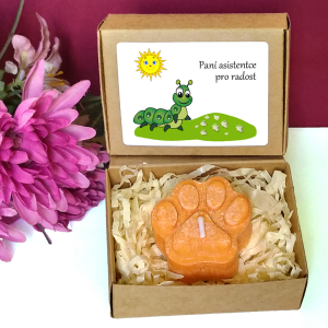 HOUSENKA - tlapka pro učitelku ve školce