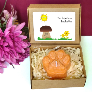 HŘÍBEK - tlapka pro učitelku ve školce