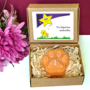 HVĚZDIČKA - tlapka pro učitelku ve školce