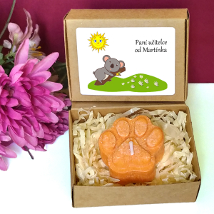 KOALA - tlapka pro učitelku ve školce