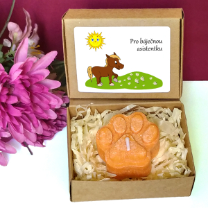 KONÍK - tlapka pro učitelku ve školce