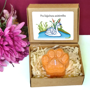 LABUŤ - tlapka pro učitelku ve školce