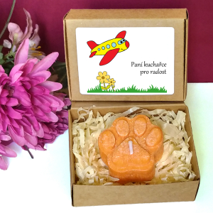 LETADÝLKO - tlapka pro učitelku ve školce