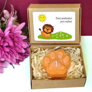 LVÍČEK II - tlapka pro učitelku ve školce