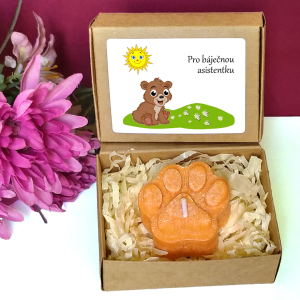 MEDVÍDEK - tlapka pro učitelku ve školce