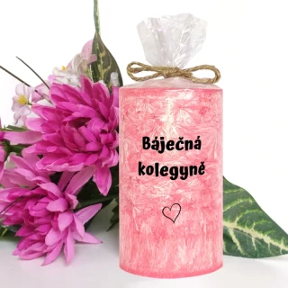 Báječná kolegyně (palmová svíčka)