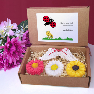 BERUŠKA I. - dárková sada pro učitelku ze školky