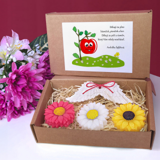 JABLÍČKO - dárková sada pro učitelku ze školky