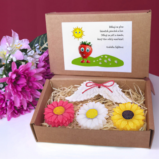 JAHODA - dárková sada pro učitelku ze školky
