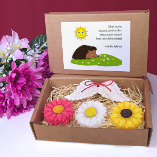 JEŽEK - dárková sada pro učitelku ze školky