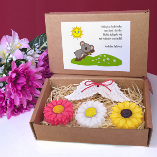 KOALA - dárková sada pro učitelku ze školky