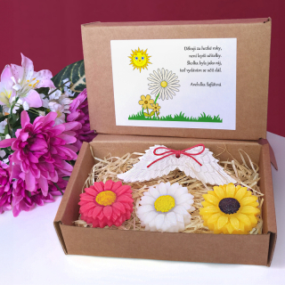 KOPRETINA - dárková sada pro učitelku ze školky