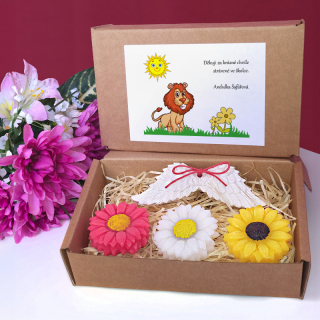 LEV - dárková sada pro učitelku ze školky