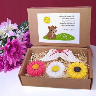 MEDVÍDEK - dárková sada pro učitelku ze školky