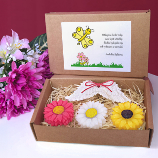 MOTÝL ŽLUŤÁSEK - dárková sada pro učitelku ze školky