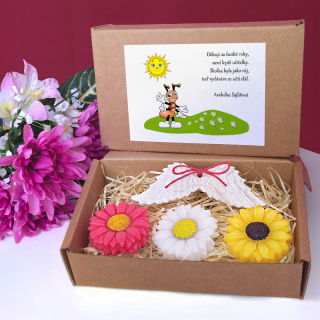 MRAVENEC II. - dárková sada pro učitelku ze školky