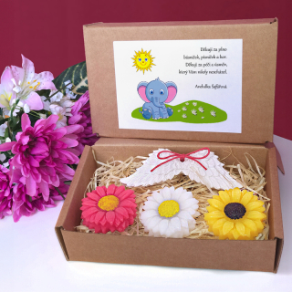 SLON - dárková sada pro učitelku ze školky