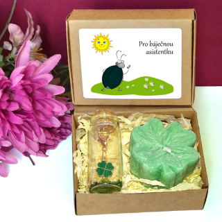 BROUČEK I. - čtyřlístky pro štěstí