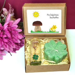 HŘÍBEK - čtyřlístky pro štěstí