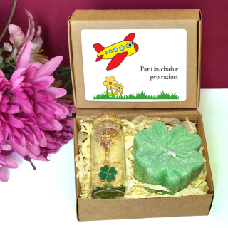 LETADÝLKO - čtyřlístky pro štěstí