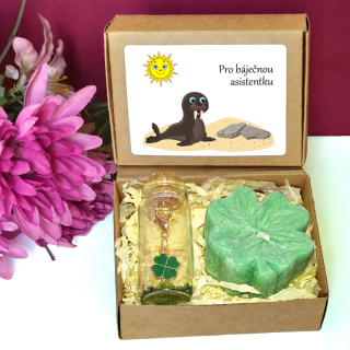 MROŽ - čtyřlístky pro štěstí