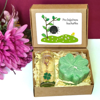 PAVOUČEK - čtyřlístky pro štěstí