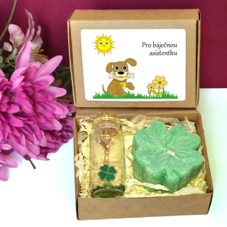 PEJSEK - čtyřlístky pro štěstí