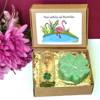 PLAMEŇÁK - čtyřlístky pro štěstí