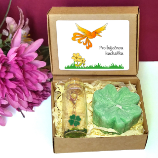 PTÁK OHNIVÁK - čtyřlístky pro štěstí