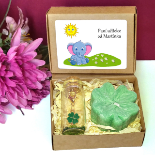 SLŮNĚ - čtyřlístky pro štěstí