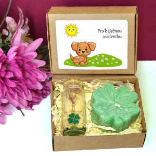 ŠTĚNĚ I - čtyřlístky pro štěstí