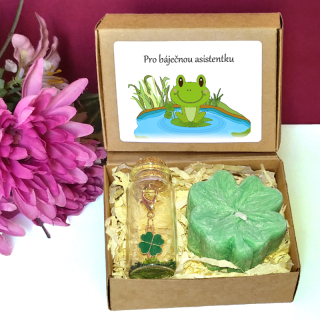 ŽÁBA - čtyřlístky pro štěstí