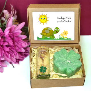 ŽELVA - čtyřlístky pro štěstí